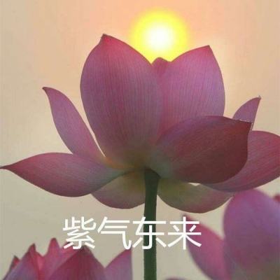 一键下载 | 《移动式工程及农林...